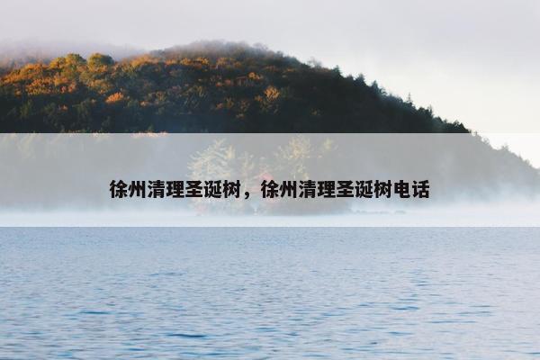 徐州清理圣诞树，徐州清理圣诞树电话