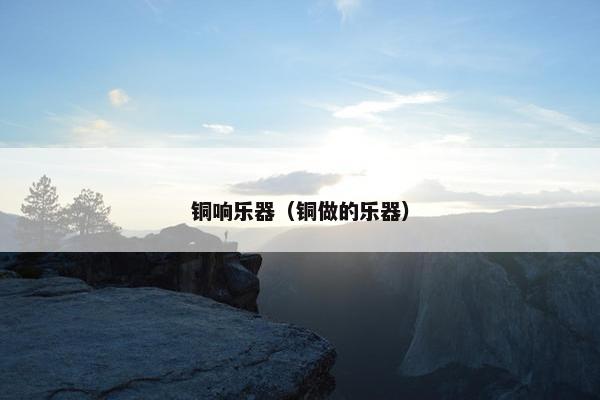 铜响乐器(铜做的乐器) 铜响乐器(铜做的乐器)