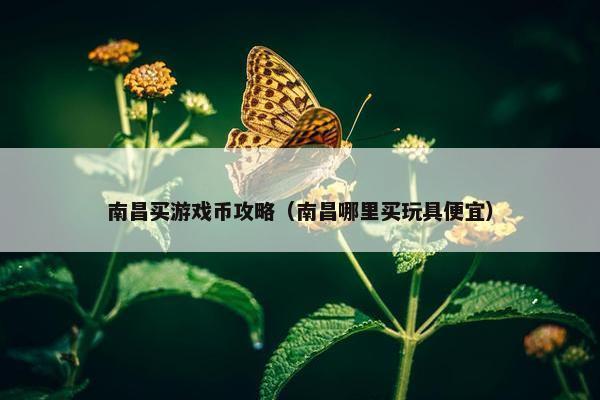 南昌买游戏币攻略(南昌哪里买玩具便宜) 南昌买游戏币攻略(南昌哪里买玩具便宜)