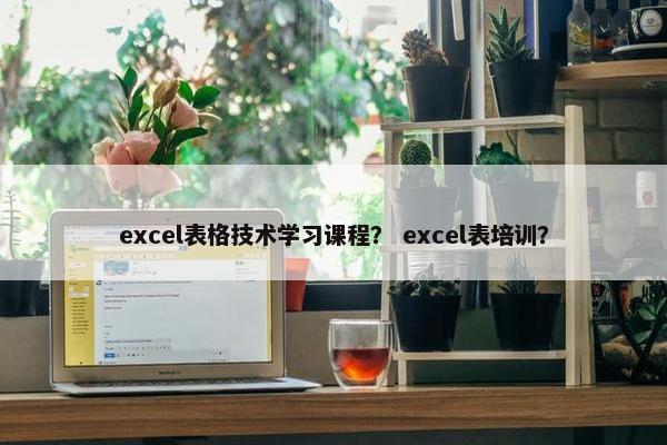 excel表格技术学习课程？ excel表培训？