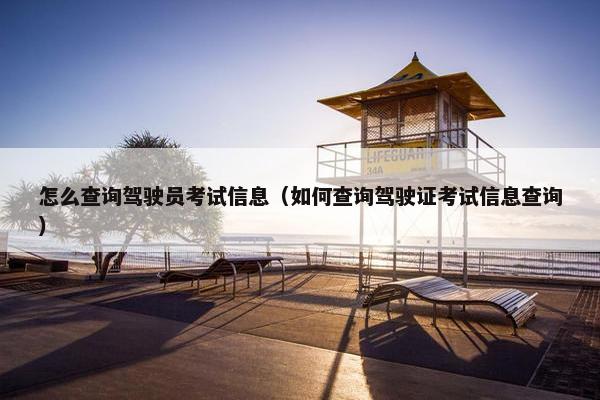 怎么查询驾驶员考试信息（如何查询驾驶证考试信息查询）