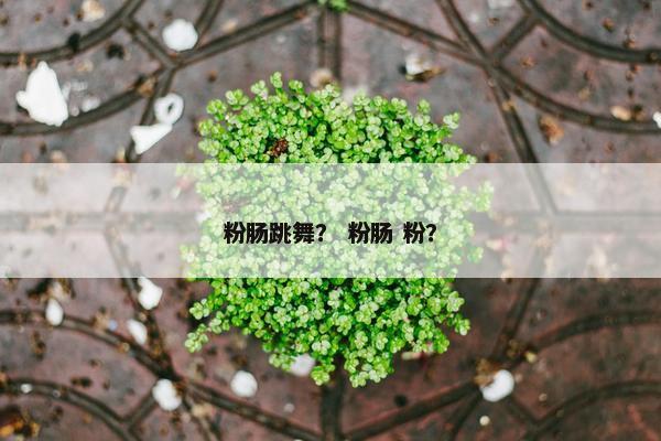 粉肠跳舞？ 粉肠 粉？