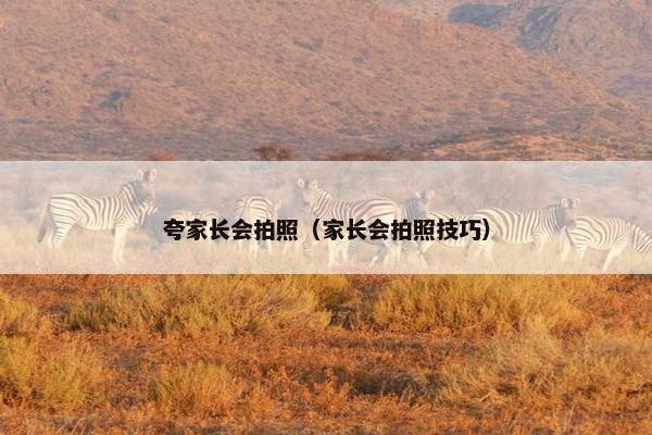 夸家长会拍照（家长会拍照技巧）