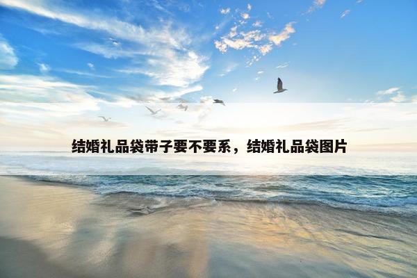 结婚礼品袋带子要不要系，结婚礼品袋图片