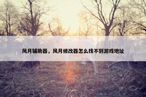 风月辅助器，风月修改器怎么找不到游戏地址