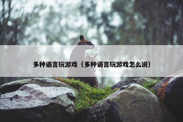多种语言玩游戏(多种语言玩游戏怎么说) 多种语言玩游戏(多种语言玩游戏怎么说)