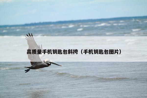 高质量手机钥匙包斜挎（手机钥匙包图片）