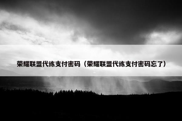 荣耀联盟代练支付密码（荣耀联盟代练支付密码忘了）