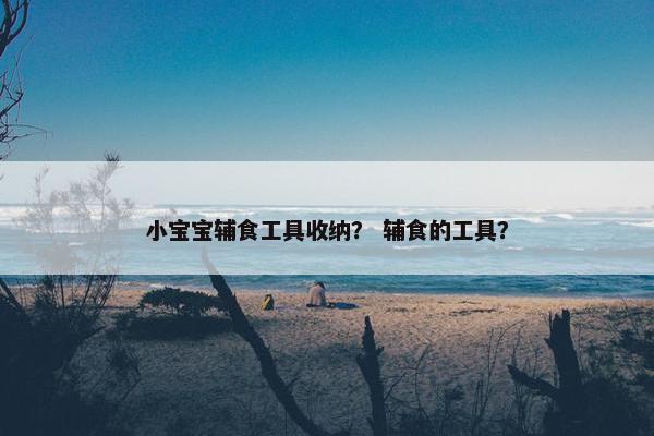 小宝宝辅食工具收纳？ 辅食的工具？