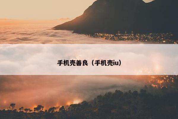 手机壳善良（手机壳iu）