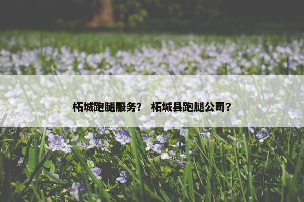 柘城跑腿服务？ 柘城县跑腿公司？