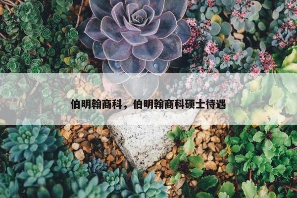 伯明翰商科，伯明翰商科硕士待遇
