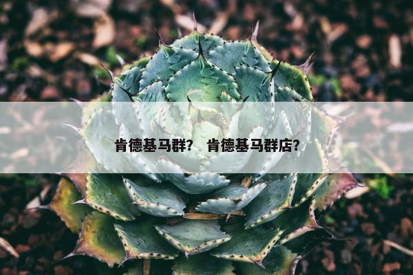 肯德基马群？ 肯德基马群店？
