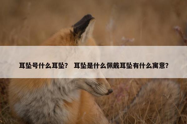 耳坠号什么耳坠？ 耳坠是什么佩戴耳坠有什么寓意？