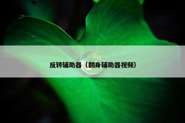 反转辅助器(翻身辅助器视频) 反转辅助器(翻身辅助器视频)