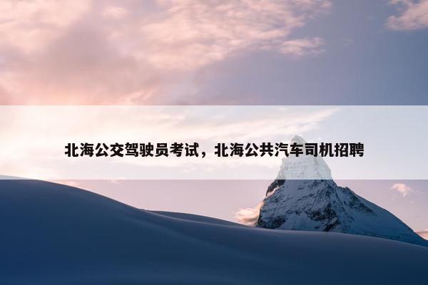 北海公交驾驶员考试，北海公共汽车司机招聘
