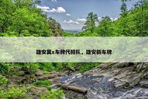 雄安冀x车牌代排队,雄安新车牌 雄安冀x车牌代排队,雄安新车牌