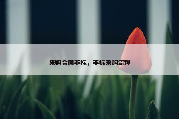 采购合同非标,非标采购流程 采购合同非标,非标采购流程