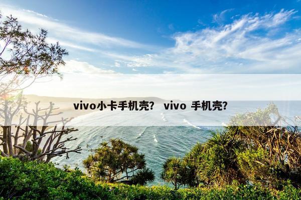 vivo小卡手机壳? vivo 手机壳? vivo小卡手机壳? vivo 手机壳?