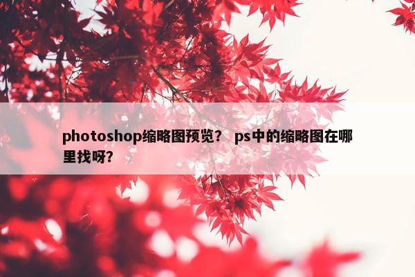 photoshop缩略图预览? ps中的缩略图在哪里找呀? photoshop缩略图预览? ps中的缩略图在哪里找呀?