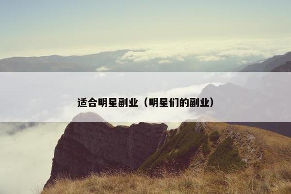 适合明星副业（明星们的副业）