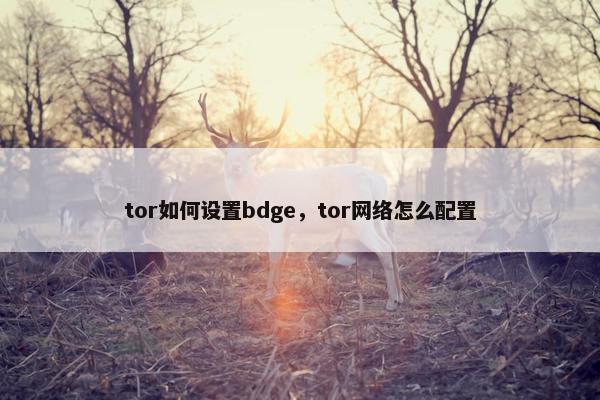 tor如何设置bdge，tor网络怎么配置