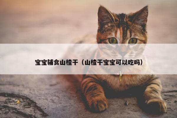 宝宝辅食山楂干（山楂干宝宝可以吃吗）