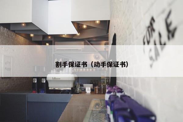 割手保证书（动手保证书）