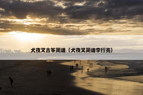 犬夜叉古筝简谱（犬夜叉简谱李行亮）