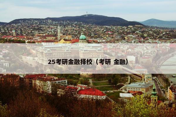 25考研金融择校（考研 金融）