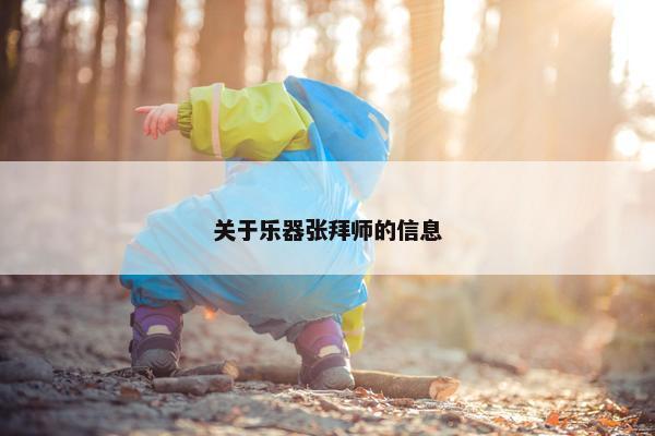 关于乐器张拜师的信息