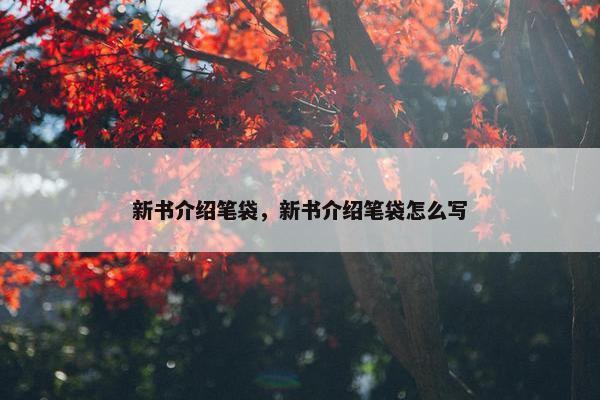 新书介绍笔袋,新书介绍笔袋怎么写 新书介绍笔袋,新书介绍笔袋怎么写