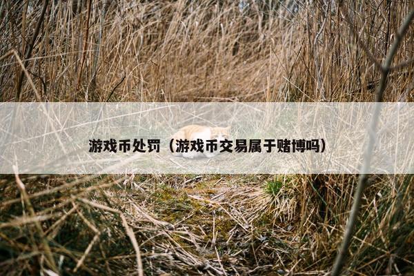游戏币处罚（游戏币交易属于赌博吗）