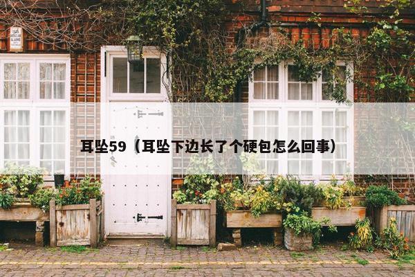 耳坠59（耳坠下边长了个硬包怎么回事）
