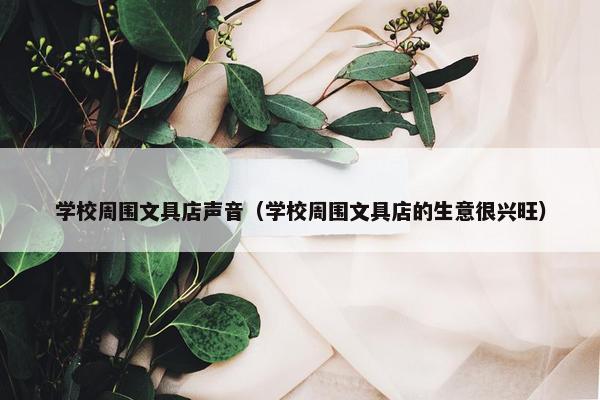 学校周围文具店声音（学校周围文具店的生意很兴旺）