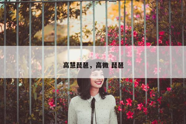 高慧琵琶，高微 琵琶