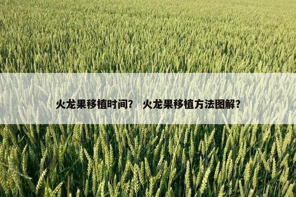 火龙果移植时间？ 火龙果移植方法图解？