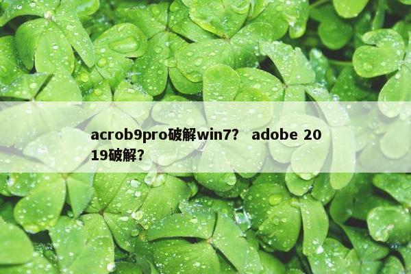 acrob9pro破解win7？ adobe 2019破解？