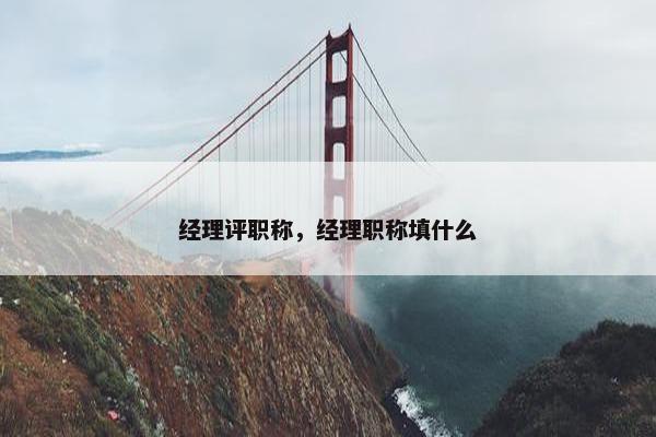 经理评职称，经理职称填什么