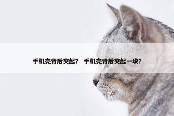 手机壳背后突起？ 手机壳背后突起一块？