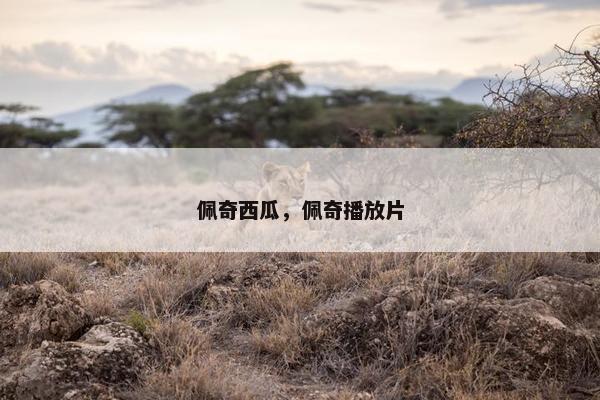 佩奇西瓜，佩奇播放片