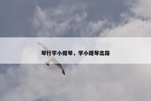 琴行学小提琴，学小提琴出路