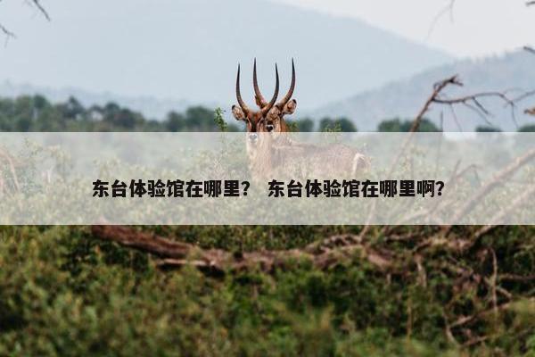 东台体验馆在哪里？ 东台体验馆在哪里啊？