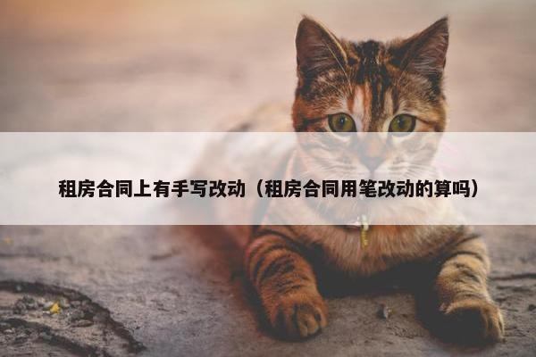 租房合同上有手写改动（租房合同用笔改动的算吗）