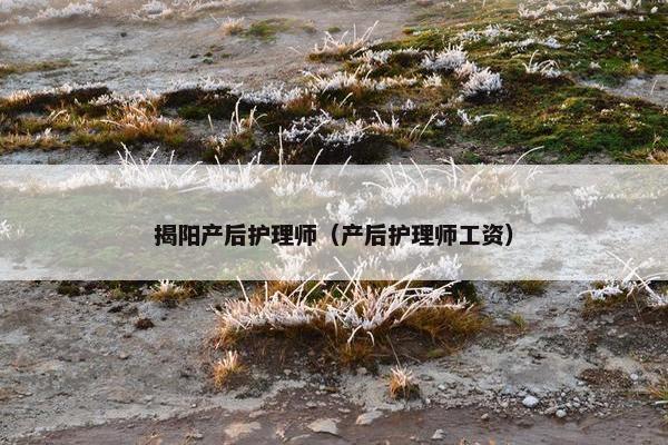 揭阳产后护理师(产后护理师工资) 揭阳产后护理师(产后护理师工资)