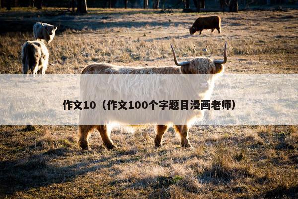 作文10(作文100个字题目漫画老师) 作文10(作文100个字题目漫画老师)