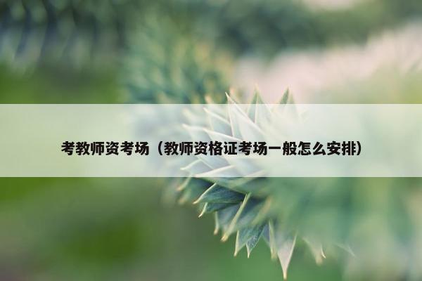 考教师资考场(教师资格证考场一般怎么安排) 考教师资考场(教师资格证考场一般怎么安排)