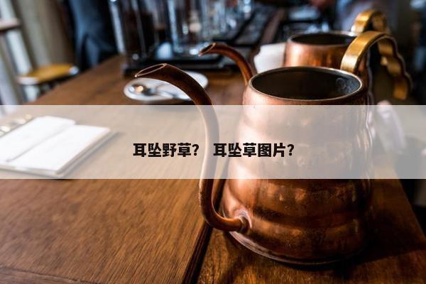 耳坠野草? 耳坠草图片? 耳坠野草? 耳坠草图片?