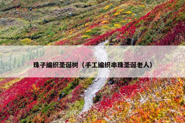 珠子编织圣诞树(手工编织串珠圣诞老人) 珠子编织圣诞树(手工编织串珠圣诞老人)