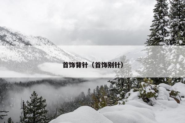 首饰背针(首饰别针) 首饰背针(首饰别针)